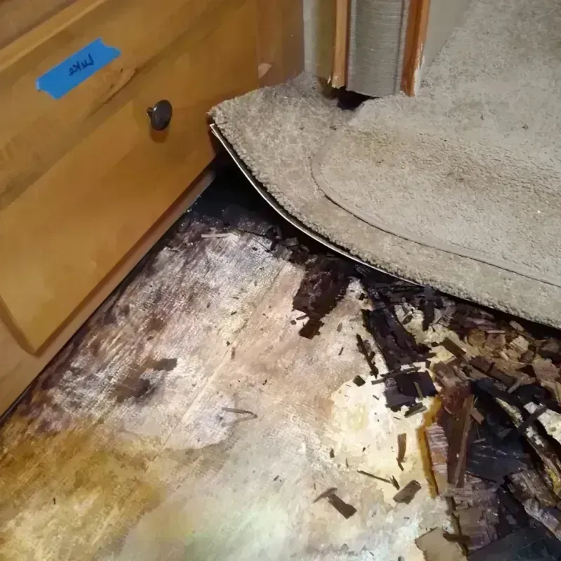 Wood Floor Water Damage in Maplewood, WA